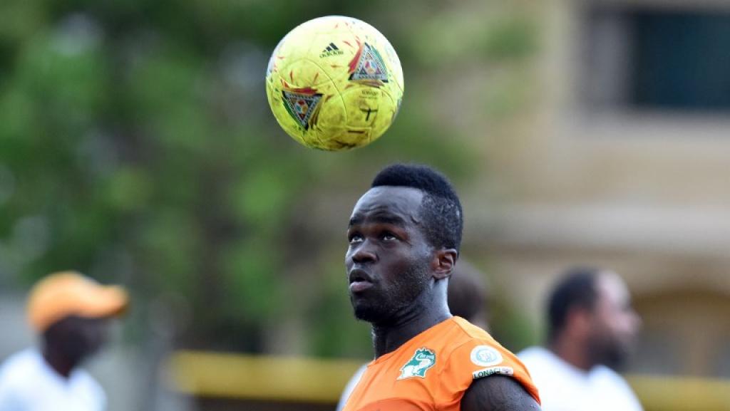 COTE D’IVOIRE  :La vidéo de la chute de l’éléphant. Adieu TIOTE CHEICK